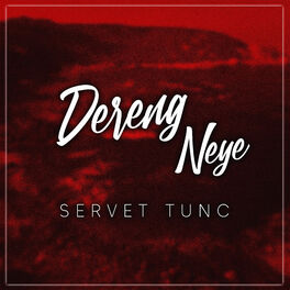 Album cover of Dereng Neye