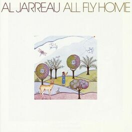 Album cover of All Fly Home