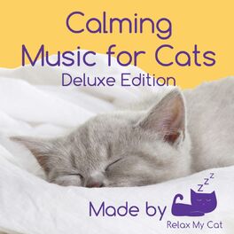Album cover of Calming Music for Cats - Reduce Anxiety During Fireworks, Sickness, Pregnancy, Grooming