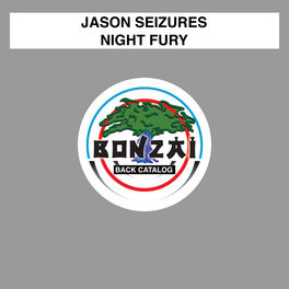 Album cover of Night Fury