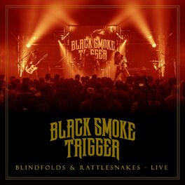 Album cover of Blindfolds & Rattlesnakes (Live)