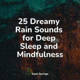 Album cover of 25 Dreamy Rain Sounds for Deep Sleep and Mindfulness