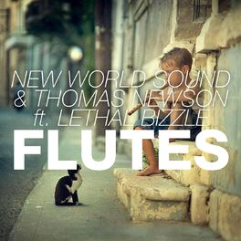 Album cover of Flutes