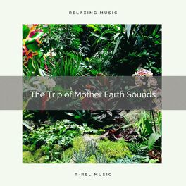 Album cover of ! ! ! ! ! ! ! ! ! ! The Trip of Mother Earth Sounds