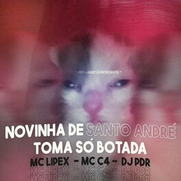 Album cover of NOVINHA DE SANTO ANDRÉ, TOMA SÓ BOTADA