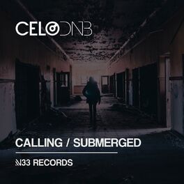 Album cover of Calling / Submerged