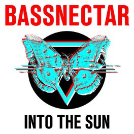 Album cover of Into the Sun