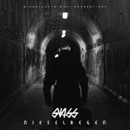 Album cover of Nieselregen