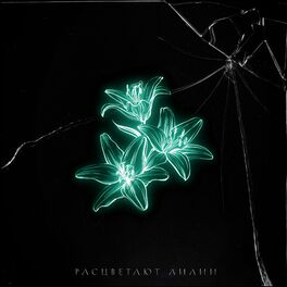 Album cover of Расцветают лилии