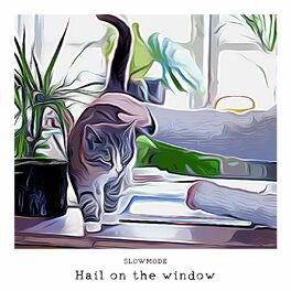 Album cover of Hail on the Window