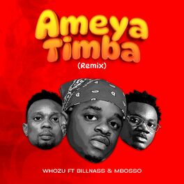 Album cover of Ameyatimba (Remix)