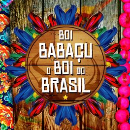 Album cover of Boi Babaçu, o Boi do Brasil