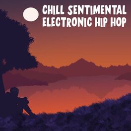 Album cover of Chill Sentimental Electronic Hip Hop