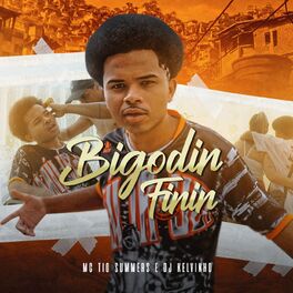Album cover of Bigodin Finin