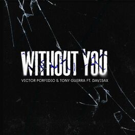 Album cover of Without You (feat. Davisax)