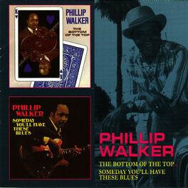 Album cover of The Bottom of the Top & Someday You'll Have These Blues