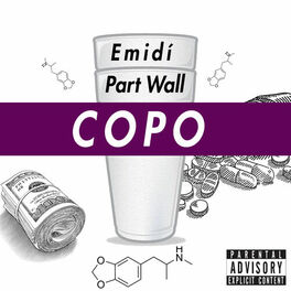 Album cover of Copo