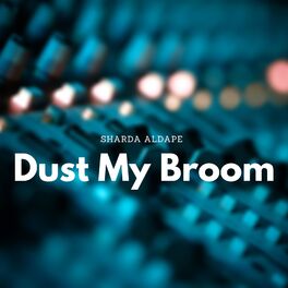 Album cover of Dust My Broom
