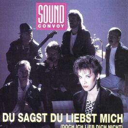 Album cover of Du sagst, Du liebst mich