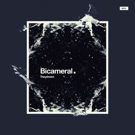 Album cover of Bicameral