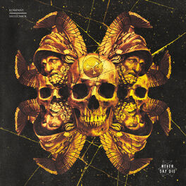 Album cover of Skullcrack