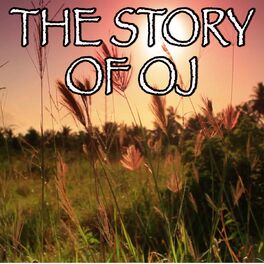 Album cover of The Story of O.J. - Tribute to Jay Z
