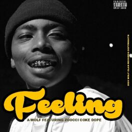 Album cover of Feeling (feat. Zoocci Coke Dope)