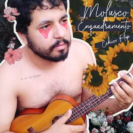 Album cover of Enquadramento