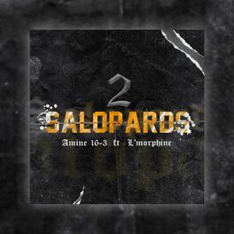 Album cover of 2 Salopards (feat. L'morphine)