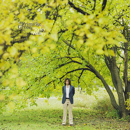 Album cover of Primrose Green