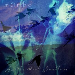Album cover of I Fly With Swallows