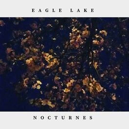 Album cover of Nocturnes