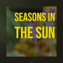 Album cover of Seasons in the sun