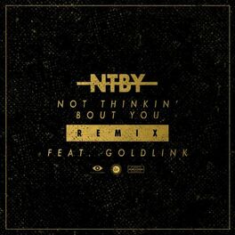 Album cover of Not Thinkin' Bout You (Remix) (feat. GoldLink)