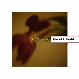 Album cover of In The Mist