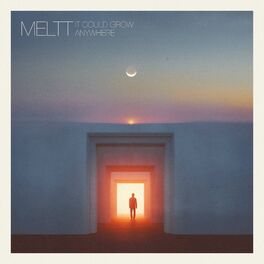 Album cover of It Could Grow Anywhere