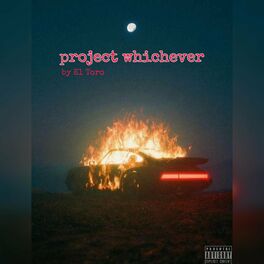 Album cover of Project Whichever