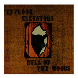Album cover of Bull of the Woods