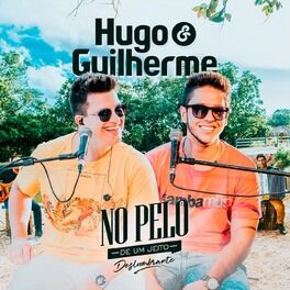 Album cover of No Pelo (Ao Vivo)