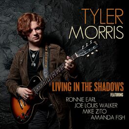 Album cover of Living in the Shadows