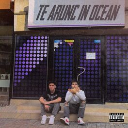 Album cover of Te Arunc in Ocean (feat. Ștefan)