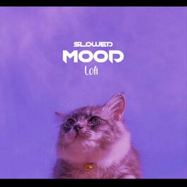 Album cover of Mood (Lofi) (Remix)