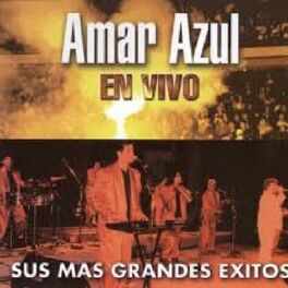 Album cover of Sus Más Grandes Éxitos (En Vivo)