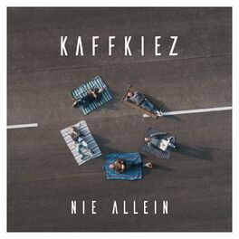 Album cover of Nie Allein