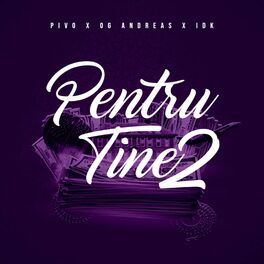 Album cover of pntru tine 2 (feat. idk & pivo)