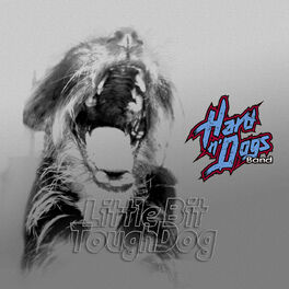 Album cover of Little Bit Tough Dog