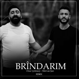 Album cover of Brîndarim (Remix)