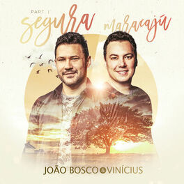 Album cover of Segura Maracaju, Pt. 1