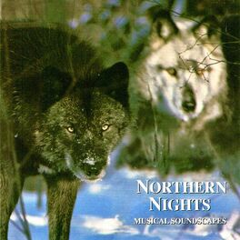 Album cover of Northern Nights (Musical Soundscapes)