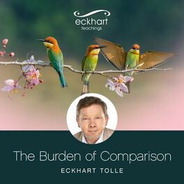 Album cover of The Burden of Comparison